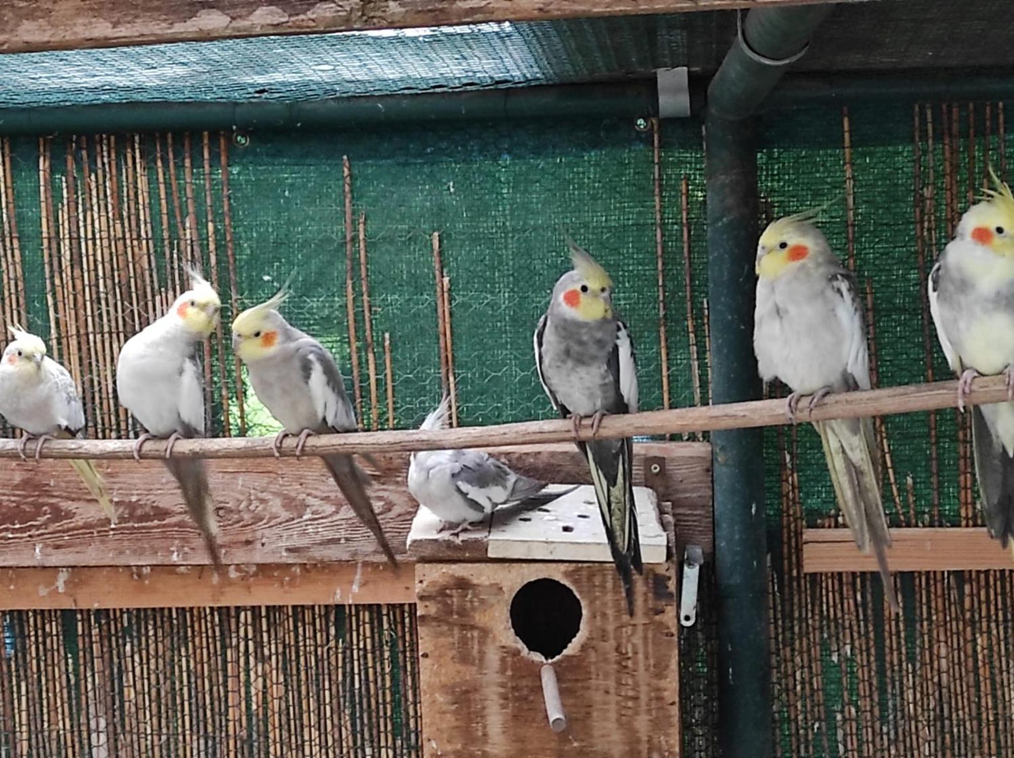 Penzion Kosky Hamr Zewnętrze zdjęcie